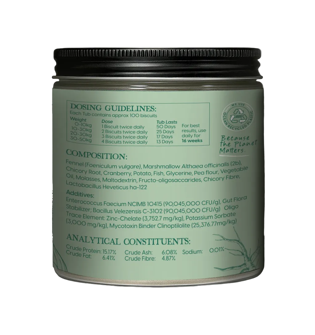 Pre & Pro Biotic Digestive Care 300g