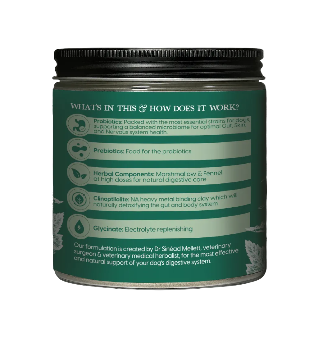 Pre & Pro Biotic Digestive Care 300g