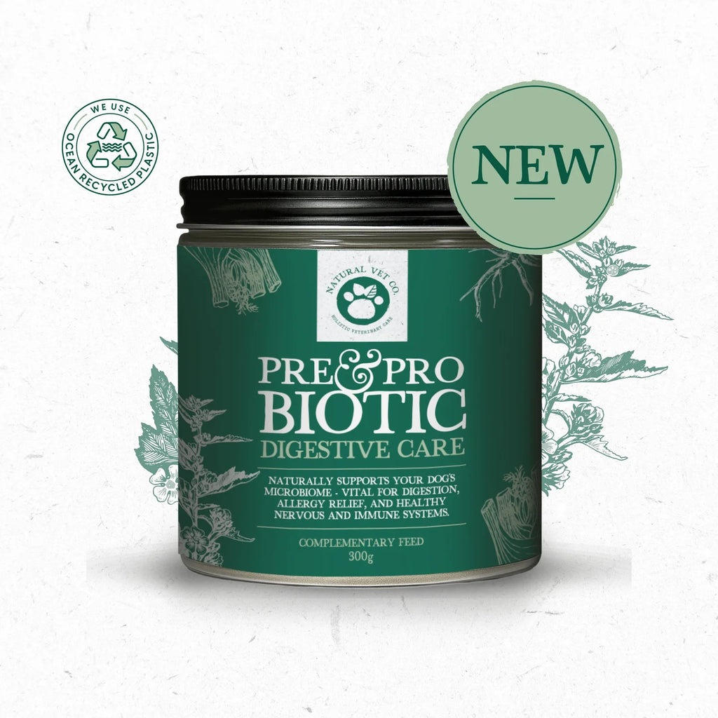 Pre & Pro Biotic Digestive Care 300g