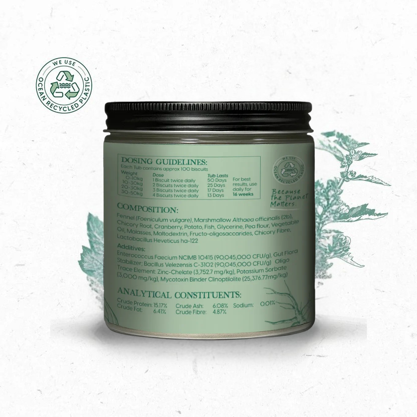 Pre & Pro Biotic Digestive Care 300g