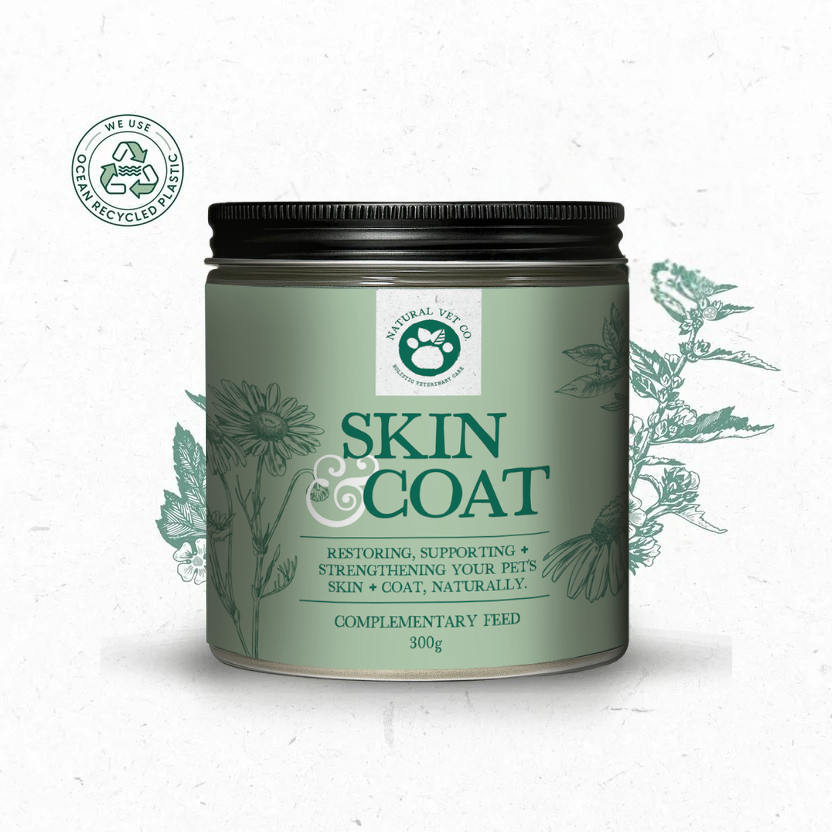 Skin & Coat 300g