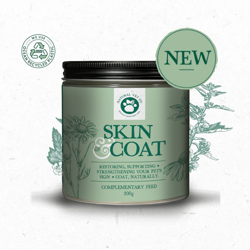 NEW Skin & Coat 300g